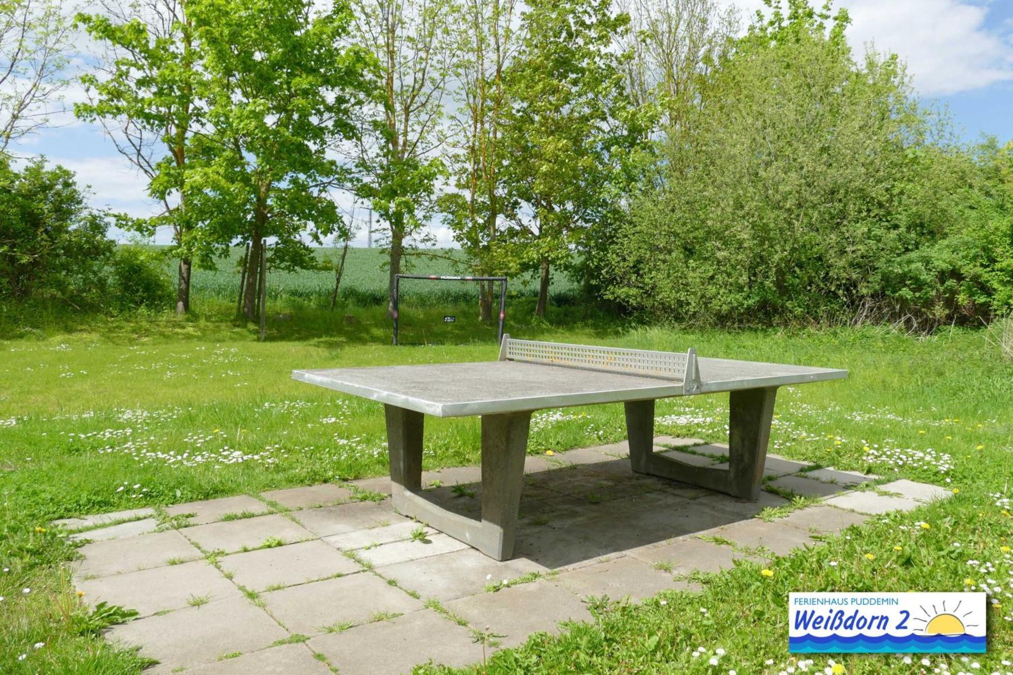 Familienfreundliches Reetdachhaus Weissdorn 2 Vila Puddemin Exterior foto